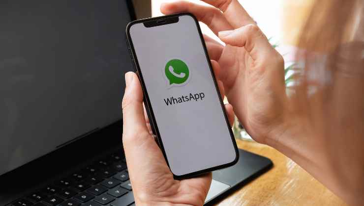 Whatsapp introduce la nuova condivisione
